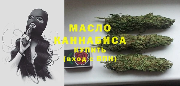 МДПВ Нея
