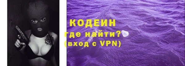 МДПВ Нея
