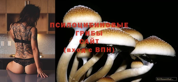 2c-b Михайловск