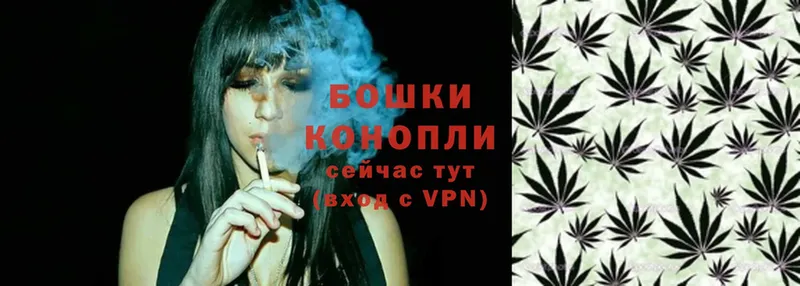 Бошки Шишки Ganja  где купить наркоту  Нижняя Тура 